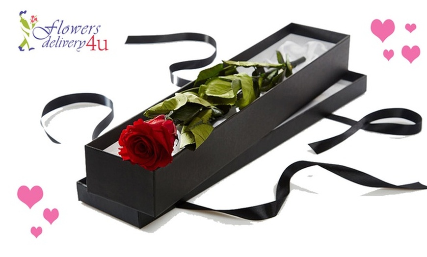 Image 1: Special Valentine Gift! 50% Off single Rose Box!