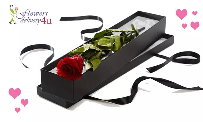 Valentine Special! 50% Off Single Rose Gift Box from Flowers Delivery 4 U - Primary Image