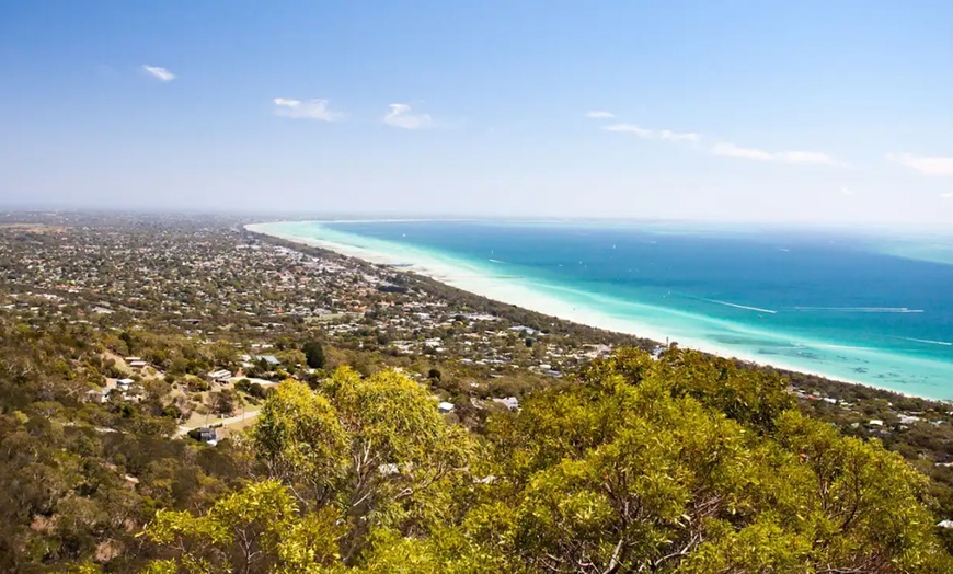 Image 2: Scenic Clifftop, Bay or Rainforest Picnic Hikes with Gourmet Lunch 