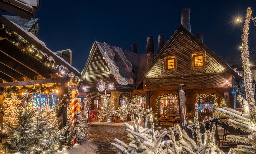 Image 9: Bilety open do Rodzinnego Parku Rozrywki ENERGYLANDIA