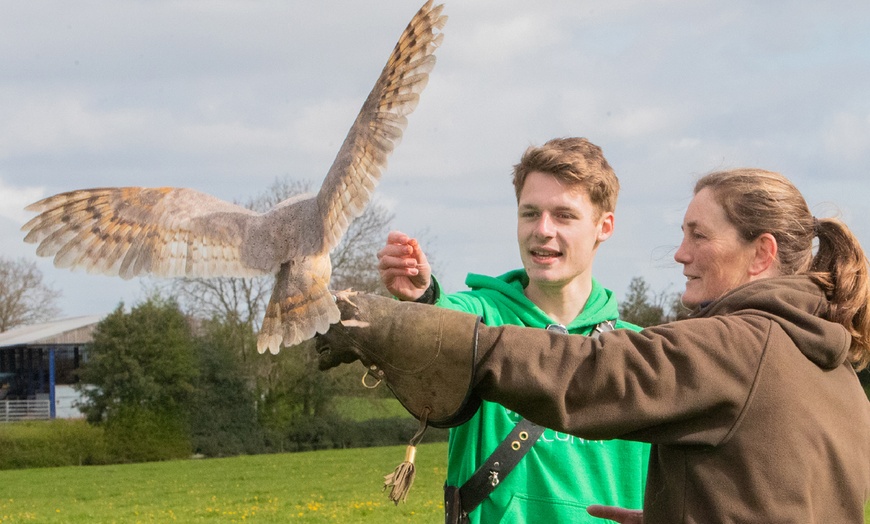 Image 3: Experience the Thrill: Two-Hour Birds of Prey Adventure for 1, 2, or 4