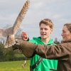 Image 3: Experience the Thrill: Two-Hour Birds of Prey Adventure for 1, 2, or 4