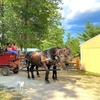 Image 5: Lasting Memories at Cornerstone Ranch: Horse-Drawn Sleigh/Wagon Ride
