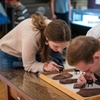 Image 4: Explore World Class Natural History, Dinosaurs and Live Animals