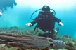 Bautismo de buceo con instructor, equipamiento y reportaje fotográfico para 1 o 2, con hasta un 58% menos - Image 5