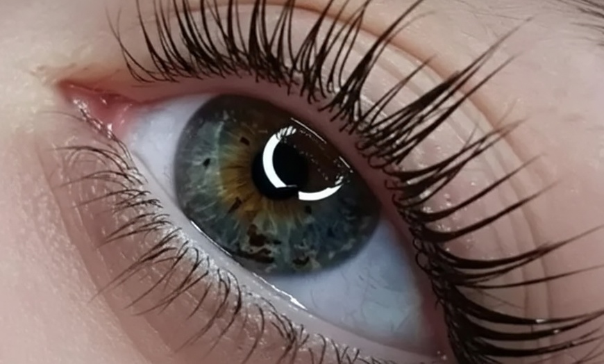 Image 2: Lift, and Tint: Keratin Lift & Tint, Eyebrow Lamination, & More 