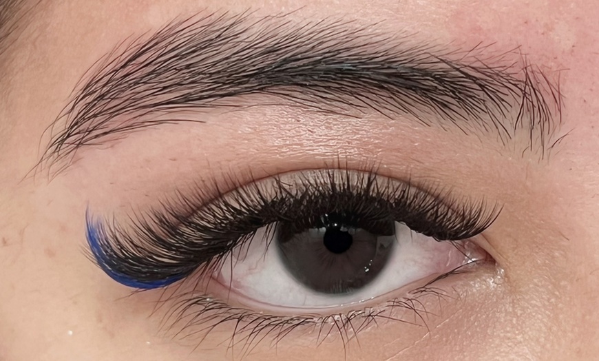 Image 2: Enhance Your Look with Classic Eyelash Extensions For a Stunning Eyes