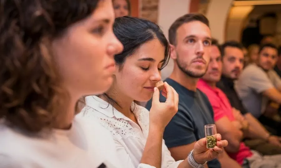 Cata de 4 cervezas artesanas españolas y 4 quesos europeos