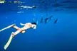 3 Hour Guided Turtle Snorkeling Tour on a 65 Foot Luxury Boat with Snorkel Gear Included!  - Second Medium