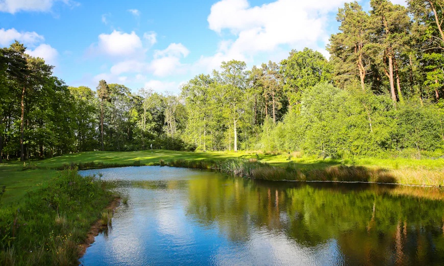 Image 3: Spa Day w/ Afternoon Tea in 4-Star Linden Hall Hotel 