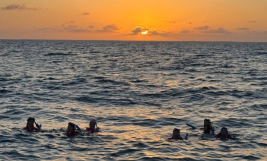 Image 6: Snorkel Key Largo with Reef Roamer - Afternoon Tours with Gear Included!