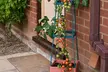 Tomato-Growing Towers or Support - Image 3