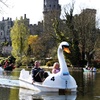 Image 1: Pedalo Hire for Up to Five People Weekdays - Valid Till Oct 3