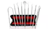 Bright White Dental Scaler Hygiene Kit (9-Piece)