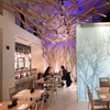 Image 6: Enjoy $25 Worth of Japanese Cuisine in a Vibrant Setting