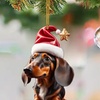 Image 4: 14-Piece Dachshund Dog Christmas Ornaments Set

