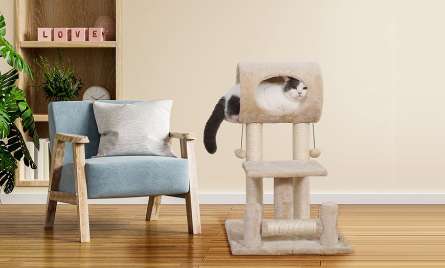 Image 11: Griffoir pour chat