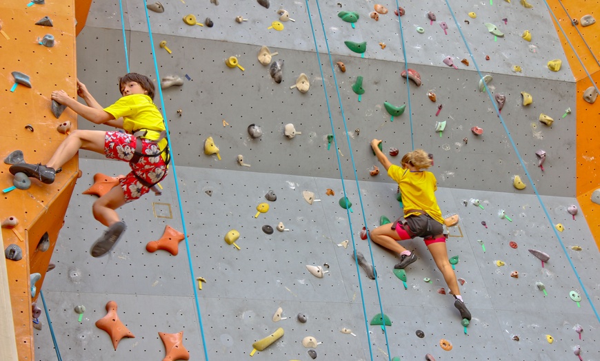 Image 2: One-Hour Climbing Session