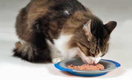 Whisker-Friendly Cat Dish | Groupon Goods