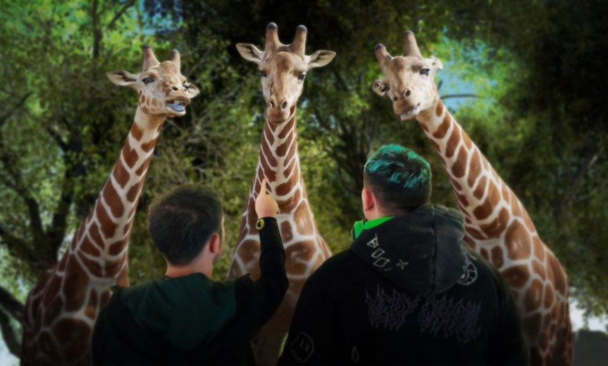 Image 2: Xmas Special: One To Five Admissions To Any Hologram Zoo Experience