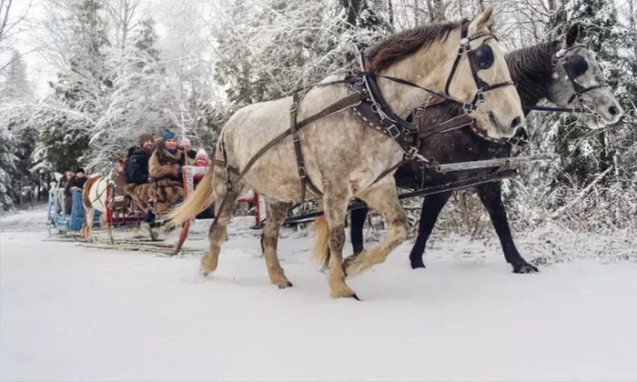 Challenge your strategy skills in Call of Adventure -  68% Off - Primary Image