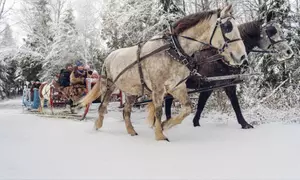 Challenge your strategy skills in Call of Adventure -  68% Off 