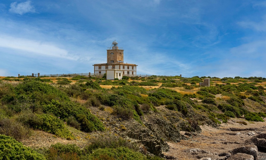 Image 8: Alquiler de embarcación para hasta 10 personas durante 4 u 8 horas