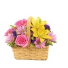 Image 12: Beautiful Easter Collection from Blooms Today with Same Day Delivery