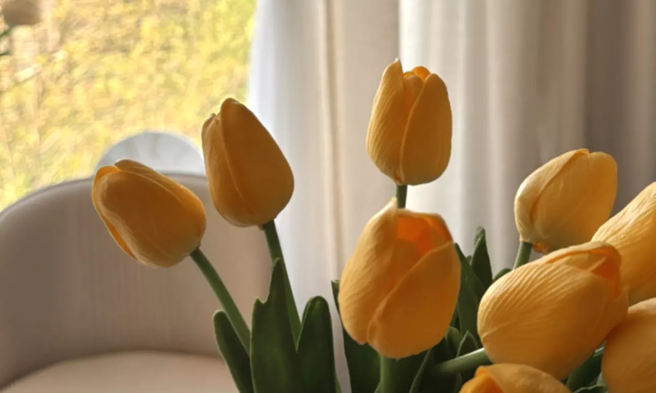Unwind with One or Two 60-Minute Swedish Massages at Massage Team