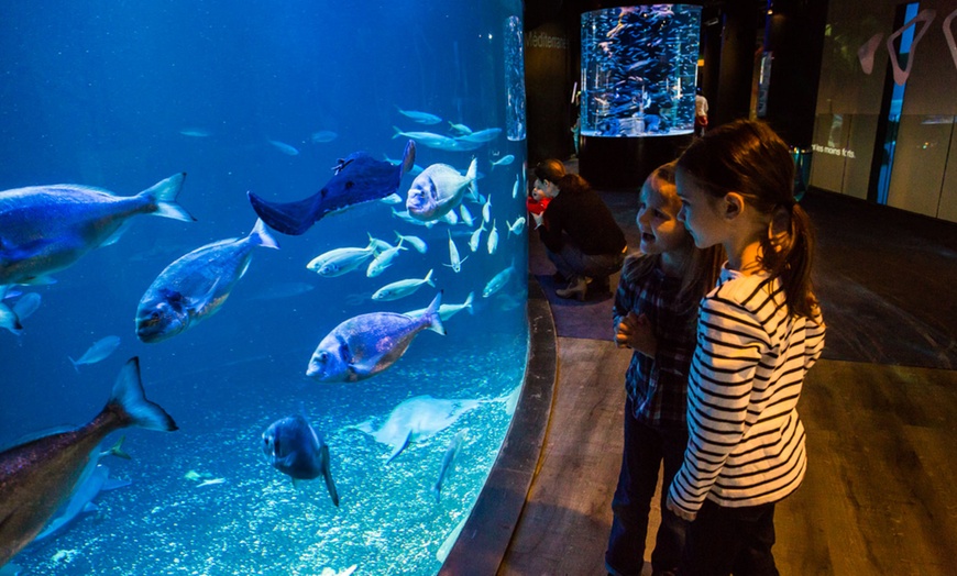 Image 4: Aquarium de Paris : la richesse du monde sous-marin tout l'année