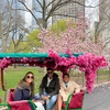 Image 25: Central Park Pedicab Tour: Classic, Deluxe or Elite PediCab Tour