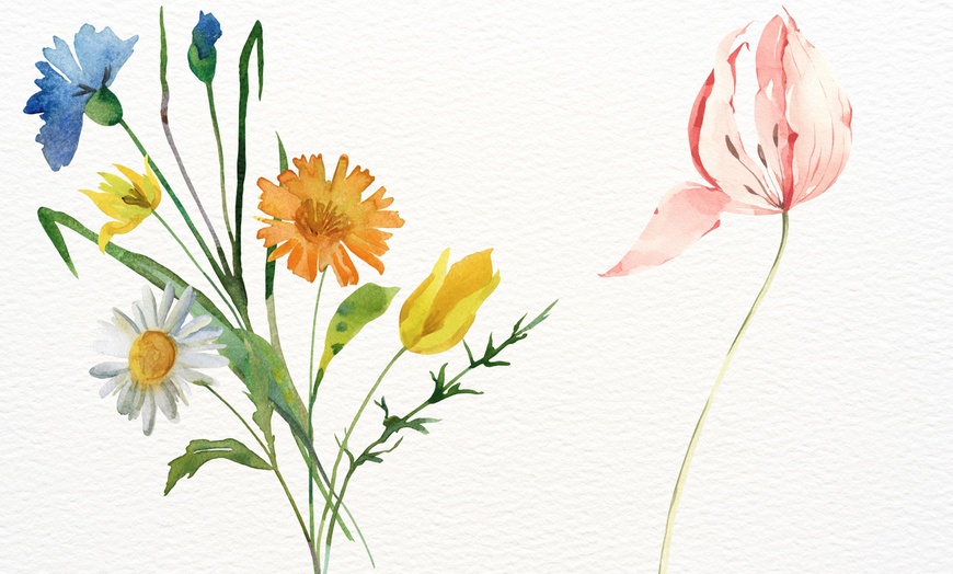 Image 1: Explore Adults Watercolour Botanicals in 4 Fun Lessons for One or Two