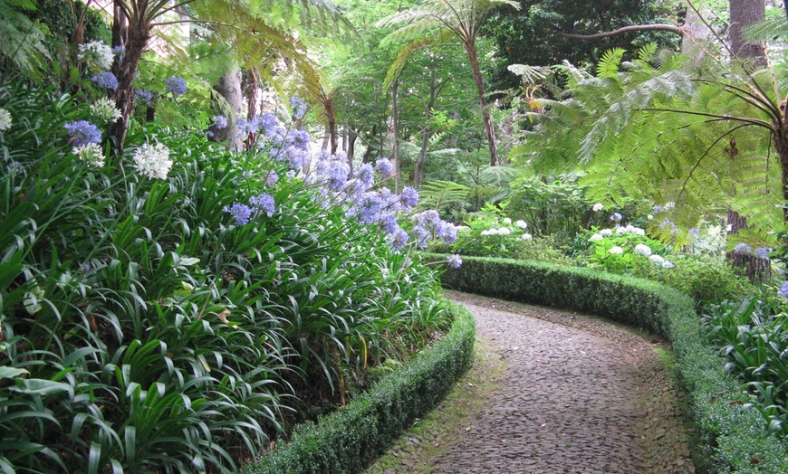 Image 20: ✈ 6-Day Madeira: Explore Portugal's Garden Island with Flights and Car