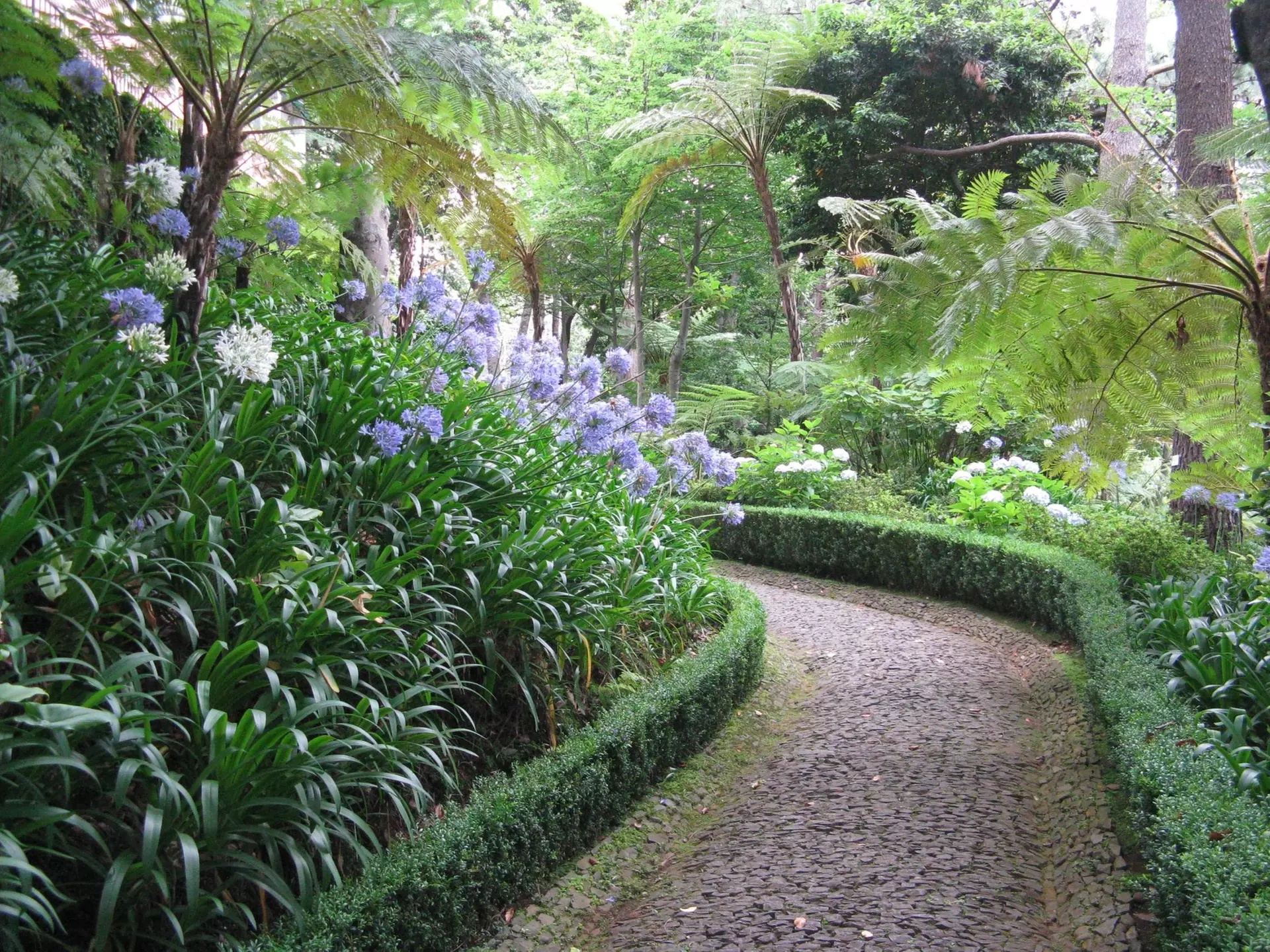 ✈ 6-Day Madeira: Explore Portugal's Garden Island with Flights and Car