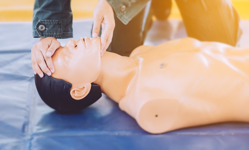 Image 4: Accredited CPR & First Aid Online Course - Save 88%! 