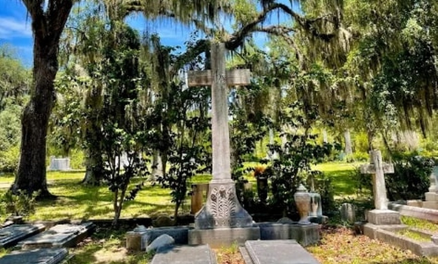 Image 4: Real Savannah, History Buff for Adults or Walking Tour Ticket(1 Child)