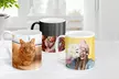 Turn moments into memories with Classic, Magic and Premium Photo Mugs from Photo Gifts (Save up to 88%) - Image 3