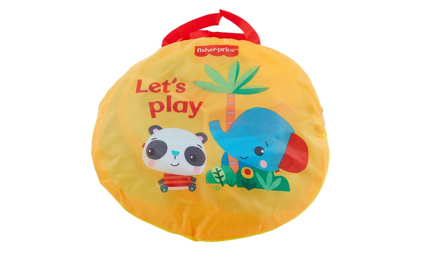 Image 7: Fisher Price Kids' Portable Sports Ball Pit 