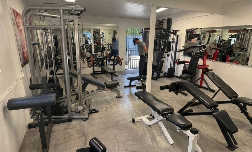 Image 2: 3 or 5 One-on-one Boxing & Kickboxing Training Sessions