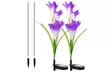 2 Pack Solar Garden Lights with Bigger Lily Flowers Color-Changing Outdoor Decor - Second Medium
