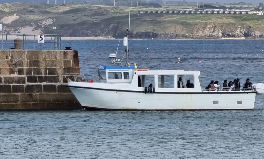 Image 11: Seal-Dolphin Spotting & Godrevy Lighthouse Trip-Upto 4 Adults & 2 Kids