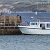 Image 11: Seal-Dolphin Spotting & Godrevy Lighthouse Trip-Upto 4 Adults & 2 Kids