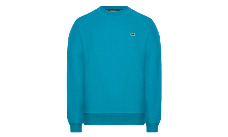 Image 2: Felpa girocollo con logo Lacoste in pile di cotone