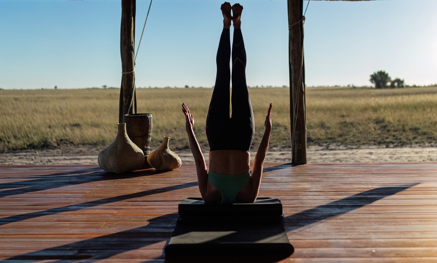 Image 11: 8-Day Yoga & Safari Retreat