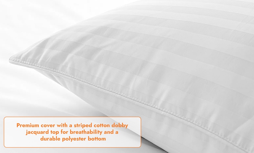 Image 3: Almohada de plumas y plumón Palace de Sampur