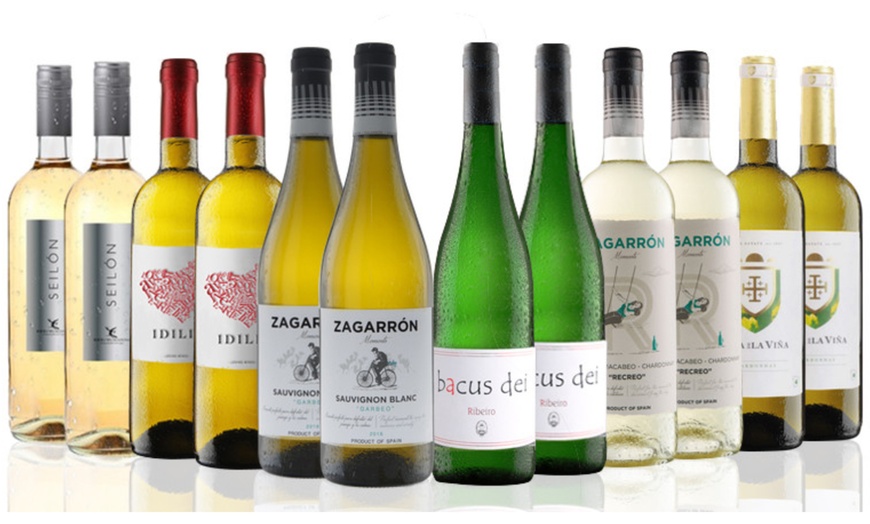 Image 2: Spanish White Wines Case