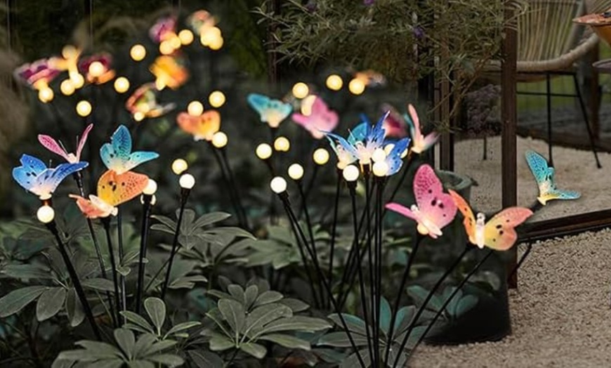 Image 4: Two or Four-Pack Solar Butterfly Firefly Lights