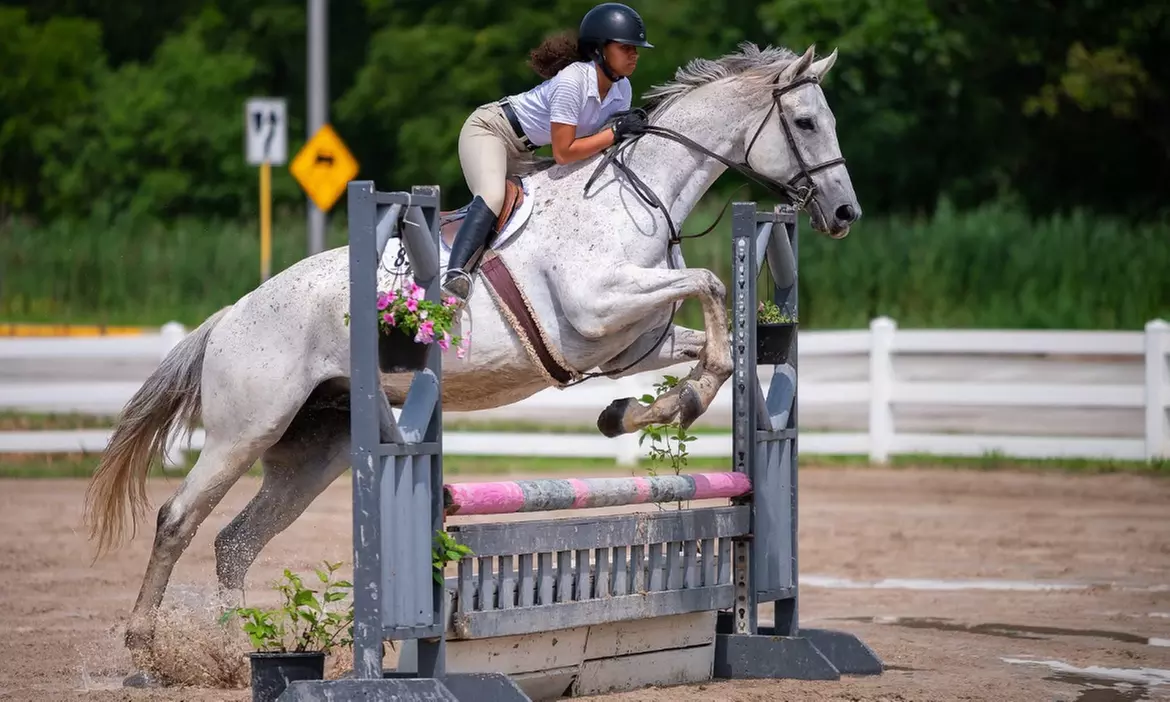 Intro Horseback Riding Lessons with One or Two 30-Minute Sessions