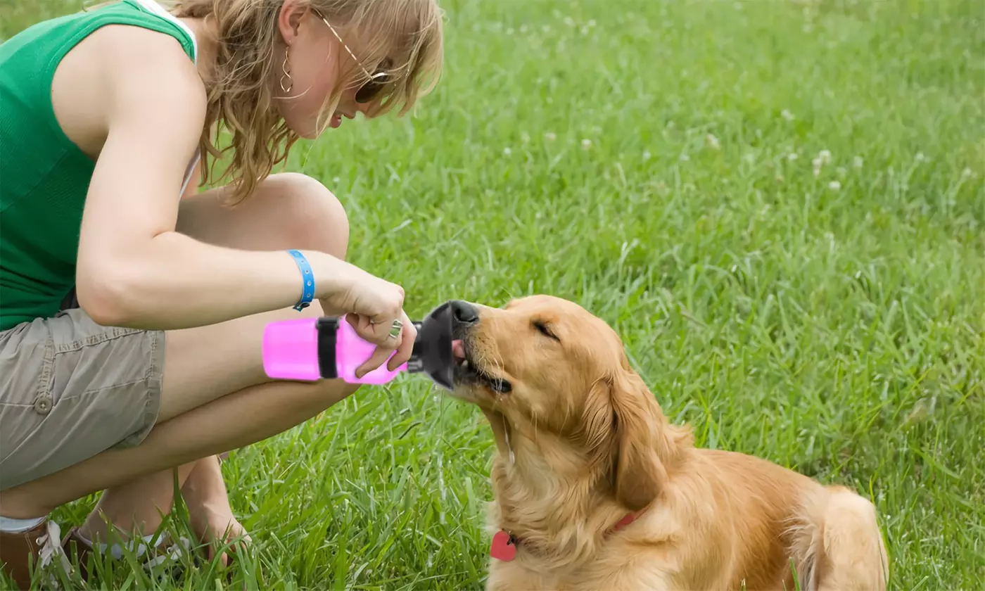 iMounTEK 500ml Pet Travel Water Bottle with Dispenser Cup
