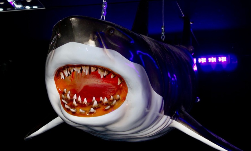 Image 6: Up to 60% Off on Golf - Mini Golf (Activity / Experience) at Activity For All